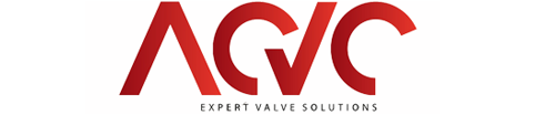 Arabian Control Valve Company