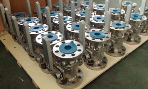OEM Valves / Spare Parts Support